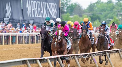 Preakness Stakes 2022: Horses, odds and what to know .